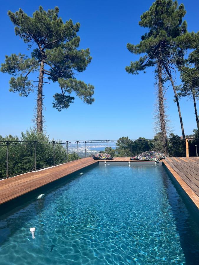 Villa Ormarine, Vue Exceptionnelle Sur La Baie De Cannes Et Le Mercantour Les Adrets-de-l'Estérel Buitenkant foto