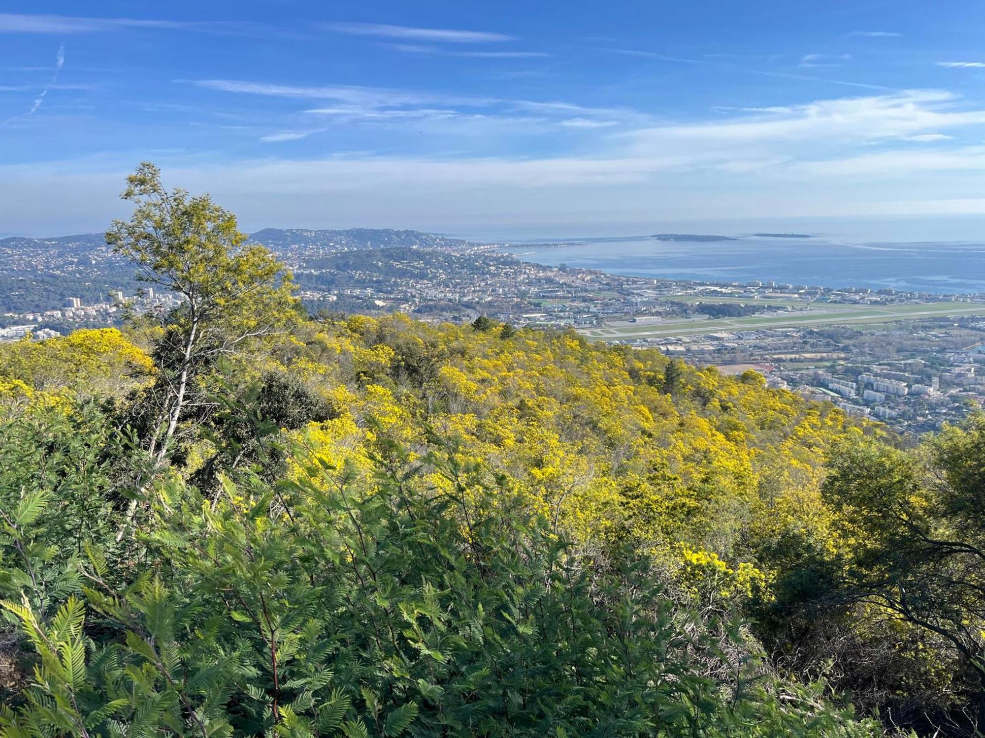 Villa Ormarine, Vue Exceptionnelle Sur La Baie De Cannes Et Le Mercantour Les Adrets-de-l'Estérel Buitenkant foto
