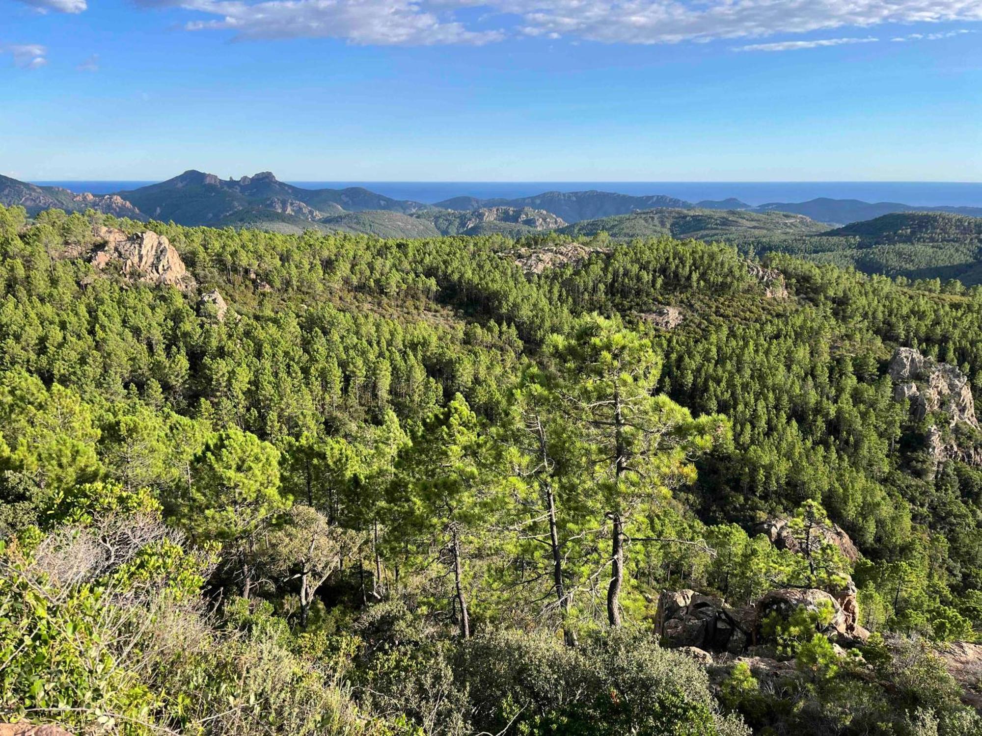 Villa Ormarine, Vue Exceptionnelle Sur La Baie De Cannes Et Le Mercantour Les Adrets-de-l'Estérel Buitenkant foto